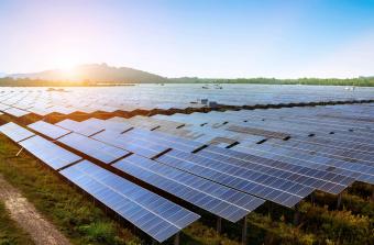 Solar panels in field