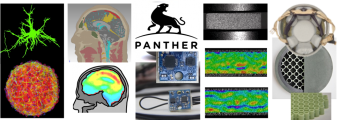 Brain scans, panther logo, helmets