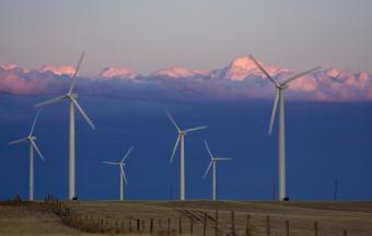 Wind farm in the late afternoon