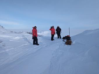 Researchers in Tuk surveying pingos