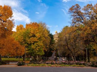 Mines campus in the fall