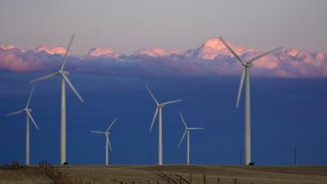 Wind farm in the late afternoon