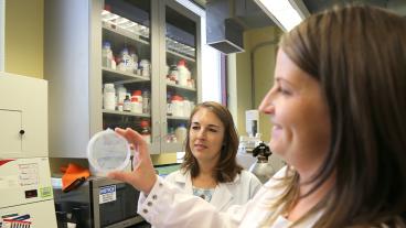 Fiona Davies and Nanette Boyle inspect bacteria dish.