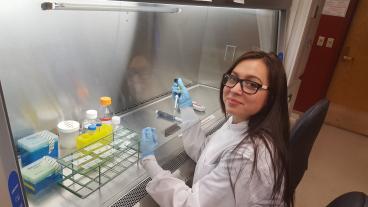 Mines senior Mariia Alibekova grows endothelial cells in the Neeves Lab.