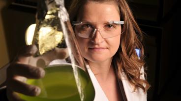 Assistant Professor Nanette Boyle looks at one type of photosynthetic organism used in her lab for metabolic engineering.