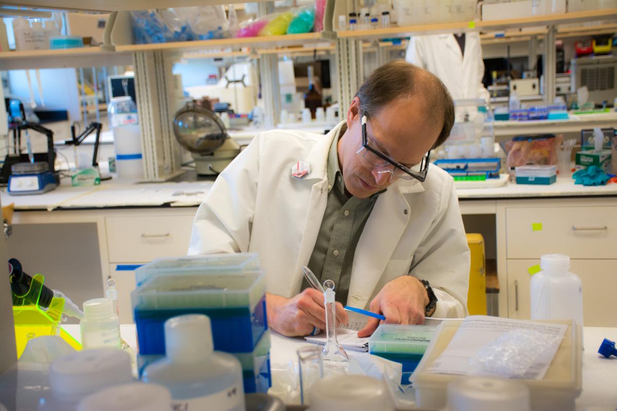 Mark Jensen works on a project in the radiochemistry lab